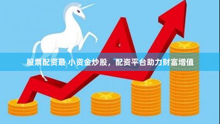 股票配资最 小资金炒股，配资平台助力财富增值