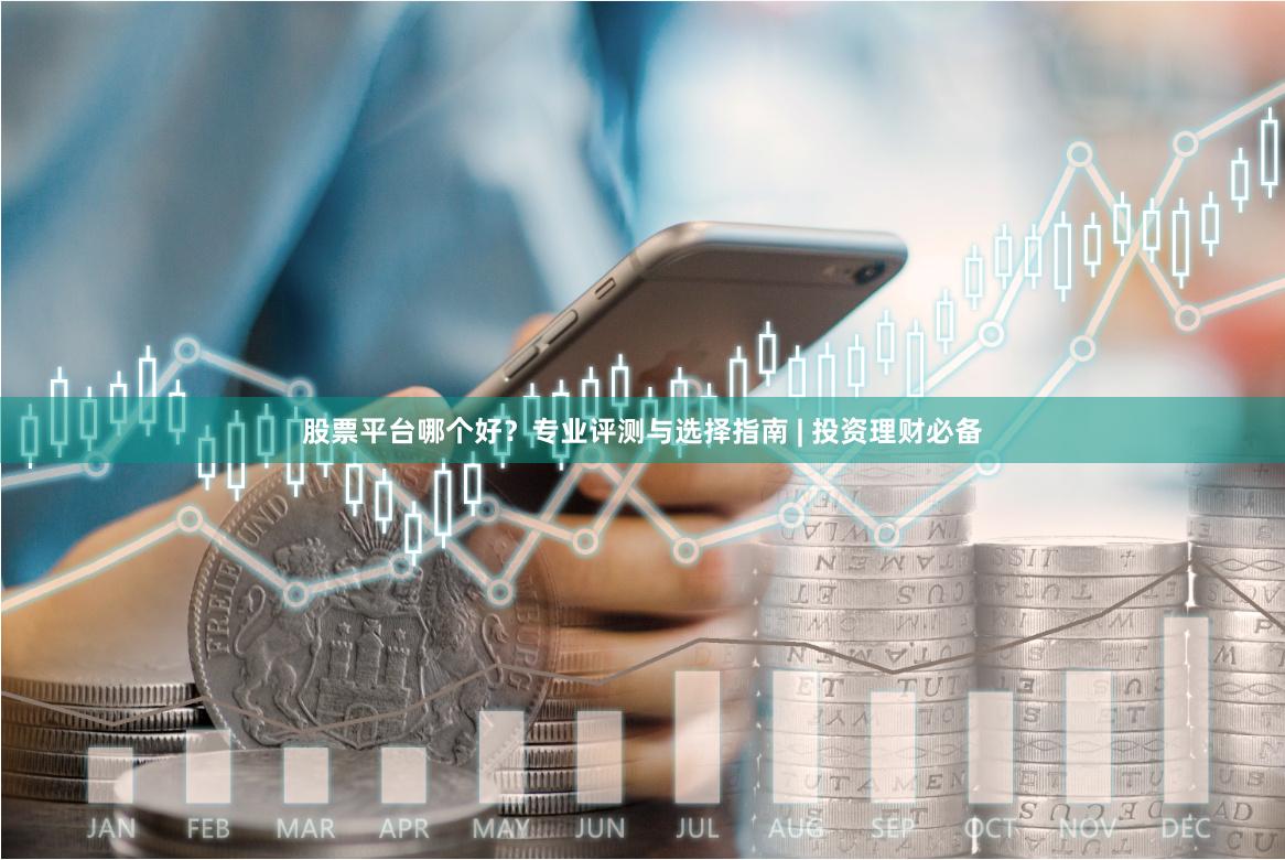 股票平台哪个好？专业评测与选择指南 | 投资理财必备