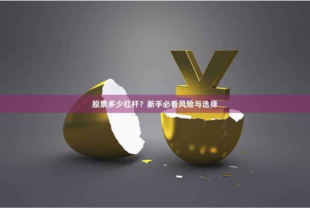 股票多少杠杆？新手必看风险与选择